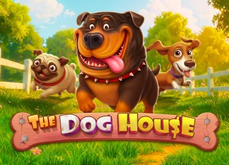 The Dog House Mobil Oyun Deneyimi — Betwon 2026